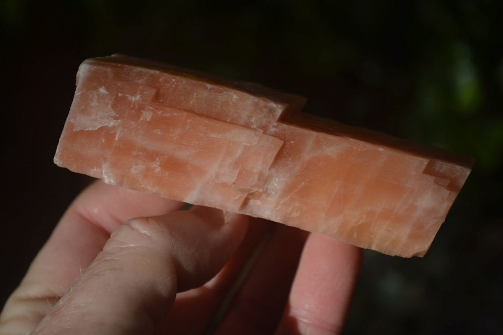 Natural New Sunset Orange Calcite Specimens  x 12 From Spitzkop, Namibia - Toprock Gemstones and Minerals 
