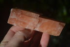 Natural New Sunset Orange Calcite Specimens  x 12 From Spitzkop, Namibia - Toprock Gemstones and Minerals 
