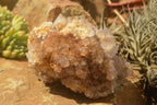 Polished Large Spirit Quartz Clusters  x 2 From Boekenhouthoek, South Africa - TopRock