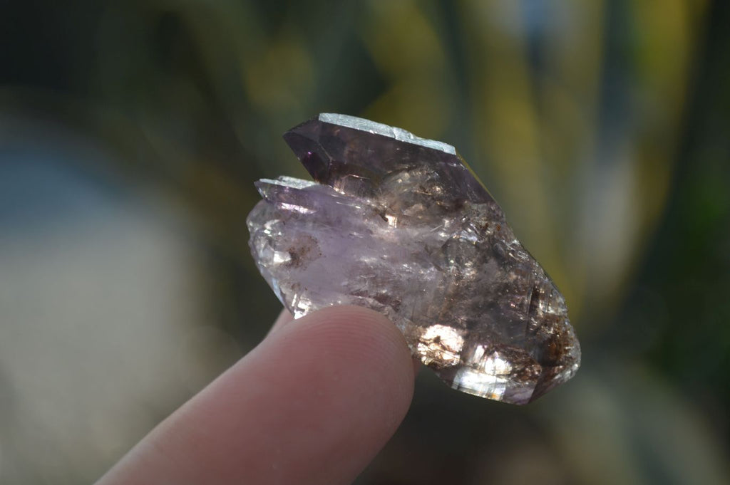 Natural Single Smokey Amethyst Crystals  x 20 From Chiredzi, Zimbabwe - Toprock Gemstones and Minerals 