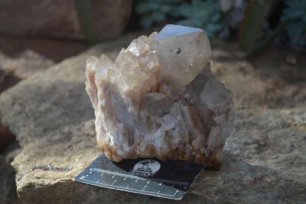 Natural Cascading White Phantom Smokey Quartz Clusters x 2 From Luena, Congo - Toprock Gemstones and Minerals 