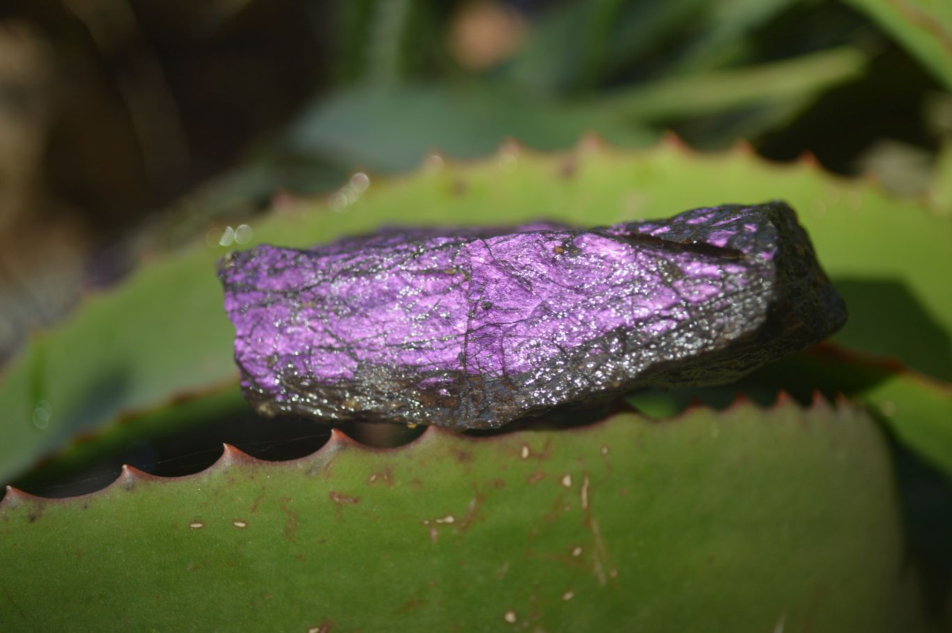 Natural Metallic Purpurite Cobbed Specimens x 4 From Erongo, Namibia - Toprock Gemstones and Minerals 