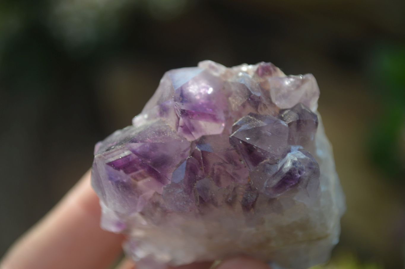 Natural Mixed Spirit Quartz Clusters  x 12 From Boekenhouthoek, South Africa - Toprock Gemstones and Minerals 