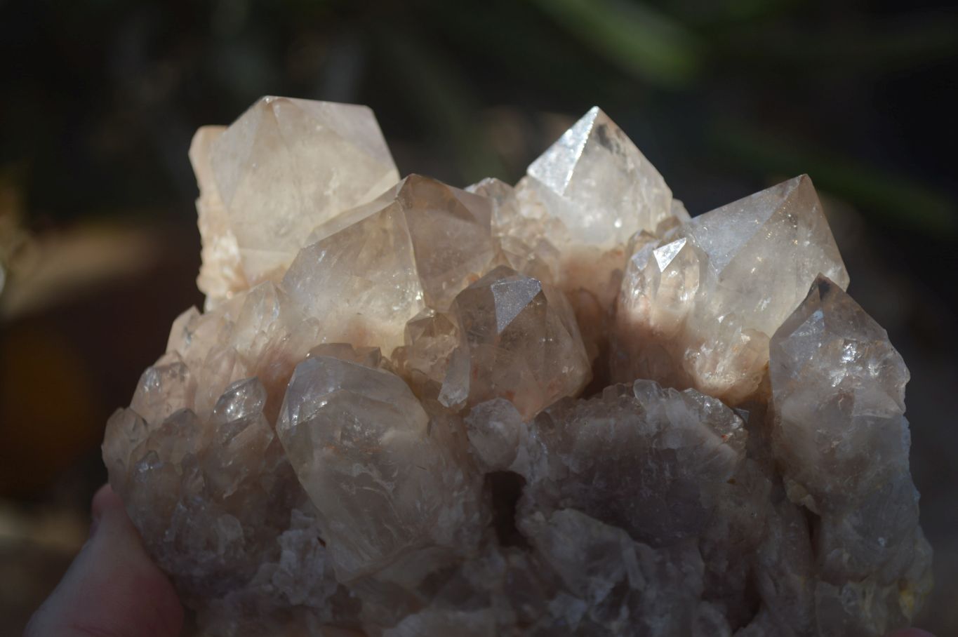 Natural Cascading Smokey Quartz Clusters x 2 From Luena, Congo - Toprock Gemstones and Minerals 