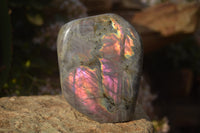 Polished Rare Purple Flash Labradorite Standing Free Forms x 2 From Tulear, Madagascar - Toprock Gemstones and Minerals 