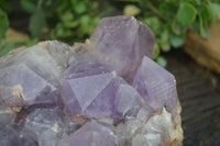 Natural Jacaranda Amethyst Cluster x 1 From Mumbwa, Zambia - TopRock