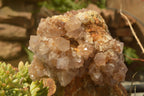 Polished Large Spirit Quartz Clusters  x 2 From Boekenhouthoek, South Africa - TopRock