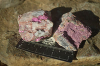 Natural Salrose Cobaltion Dolomite Specimens x 12 From Kakanda, Congo - Toprock Gemstones and Minerals 