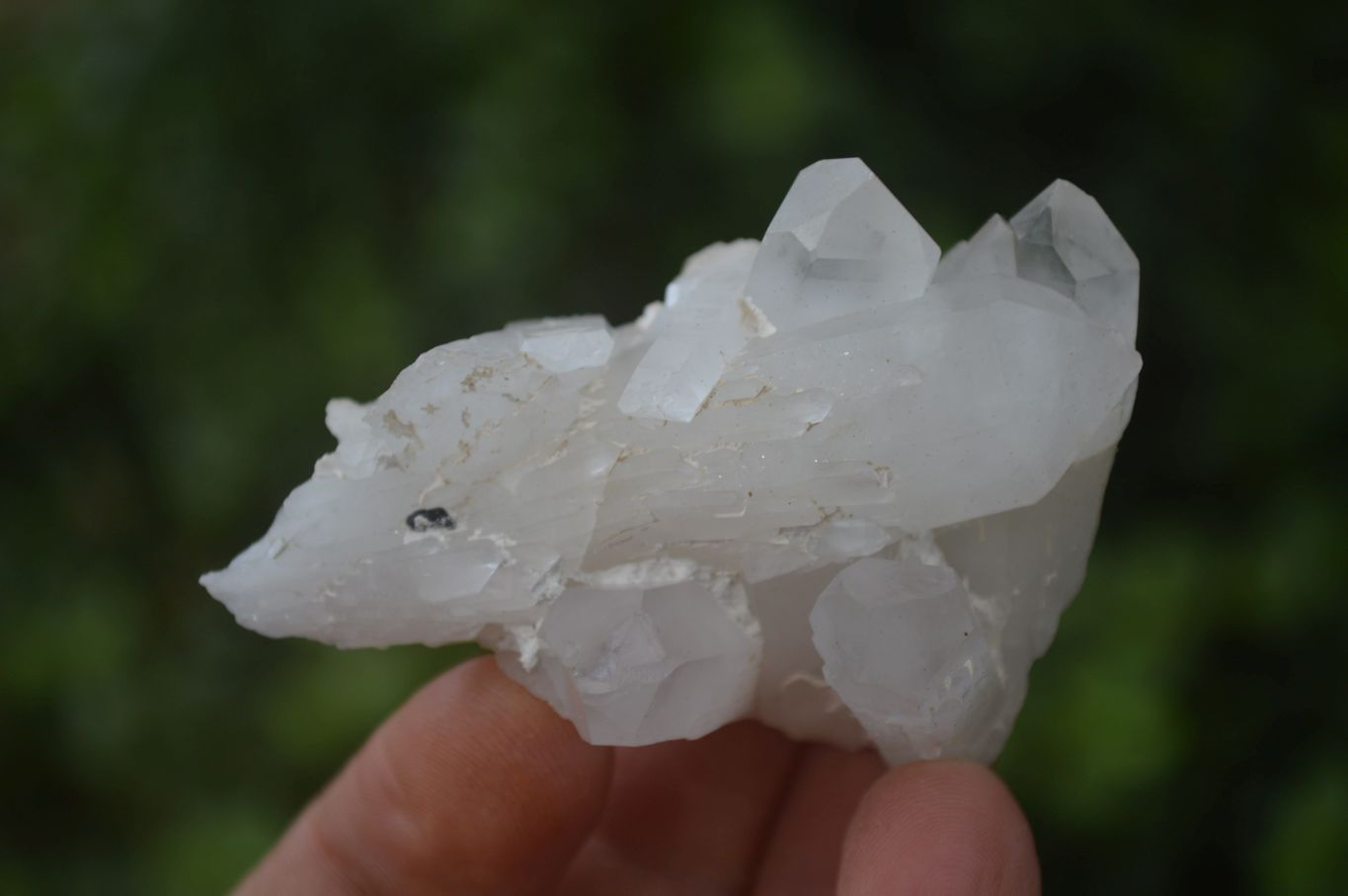 Natural Small Clear Quartz Clusters  x 24 From Madagascar - Toprock Gemstones and Minerals 