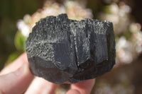 Natural Schorl Black Tourmaline Specimens x 6 From Erongo, Namibia