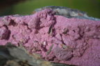 Natural Pink Salrose Cobaltion Dolomite Specimens  x 3 From Kakanda, Congo - Toprock Gemstones and Minerals 