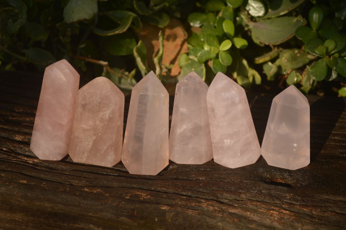 Polished Gemmy Rose Quartz Points x 6 From Antsirabe, Madagascar - Toprock Gemstones and Minerals 