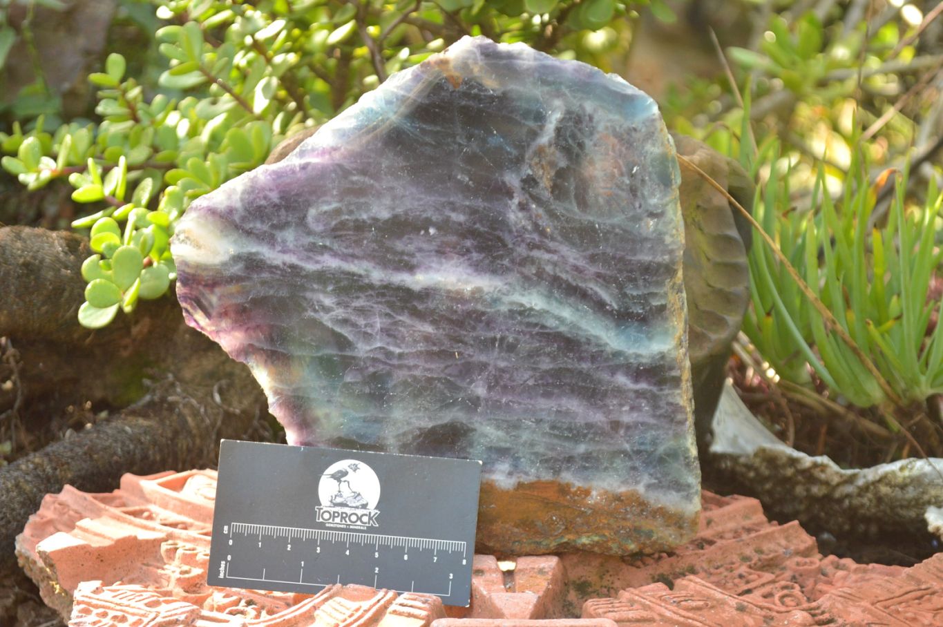 Polished Large Semi Translucent Watermelon Fluorite Slice x 1 From Uis, Namibia - TopRock