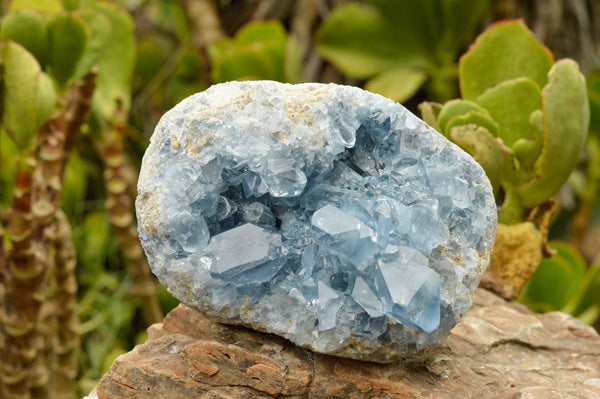 Natural Blue Celestite Geode Specimen With Optic Crystals  x 1 From Sakoany, Madagascar - TopRock