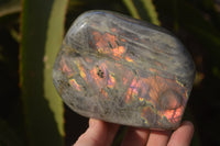 Polished Rare Purple Flash Labradorite Standing Free Forms x 2 From Tulear, Madagascar - Toprock Gemstones and Minerals 