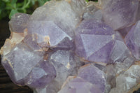 Natural Jacaranda Amethyst Cluster x 1 From Mumbwa, Zambia - TopRock