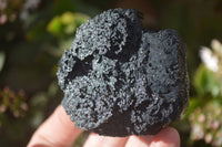 Natural Schorl Black Tourmaline Specimens x 6 From Erongo, Namibia