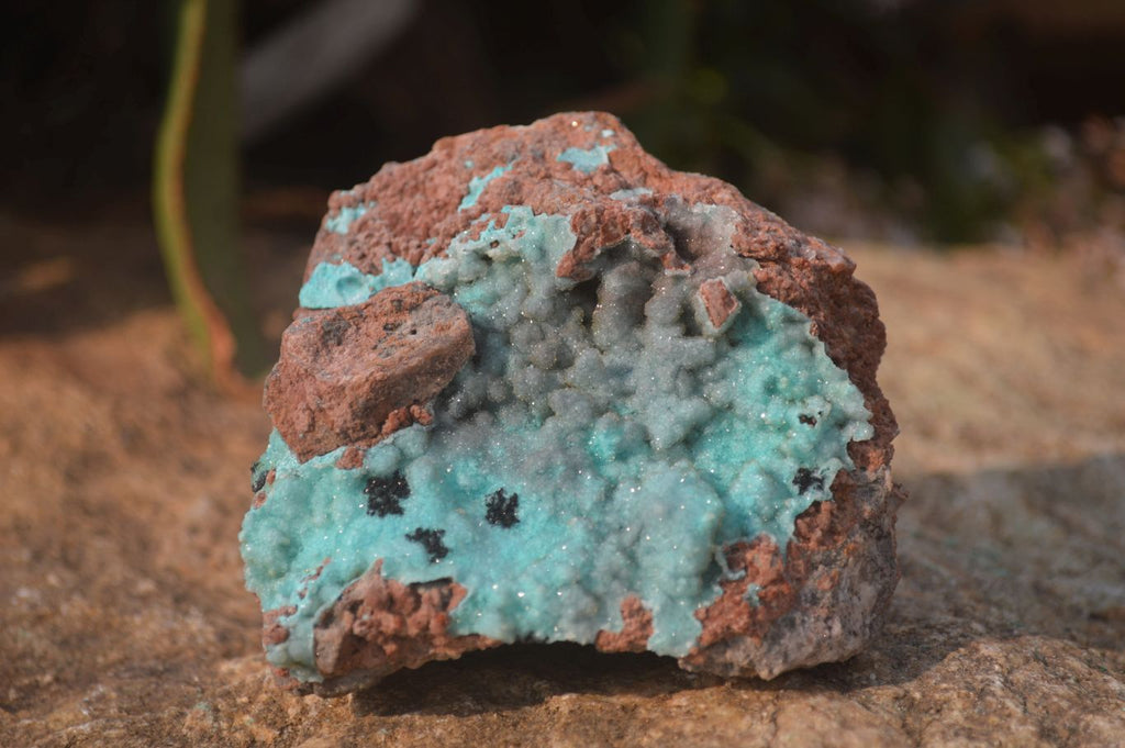 Natural Drusy Coated Chrysocolla Dolomite Specimens x 3 From Congo - Toprock Gemstones and Minerals 