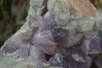 Natural Jacaranda Amethyst Cluster x 1 From Mumbwa, Zambia - TopRock