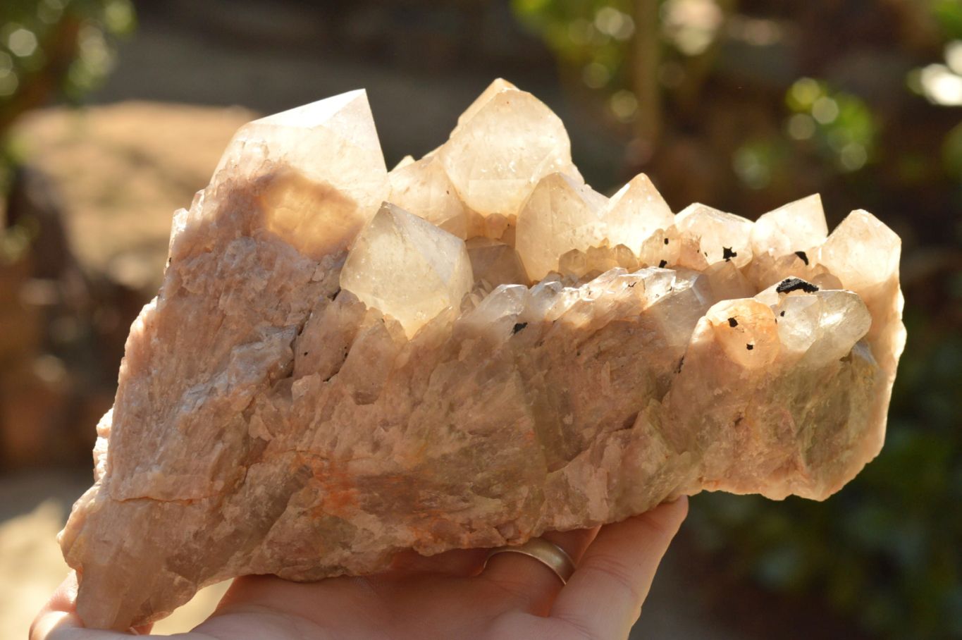 Natural Smokey Phantom Quartz Clusters  x 2 From Luena, Congo - TopRock