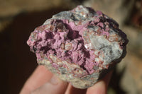 Natural Salrose Cobaltion Dolomite Specimens x 12 From Kakanda, Congo - Toprock Gemstones and Minerals 