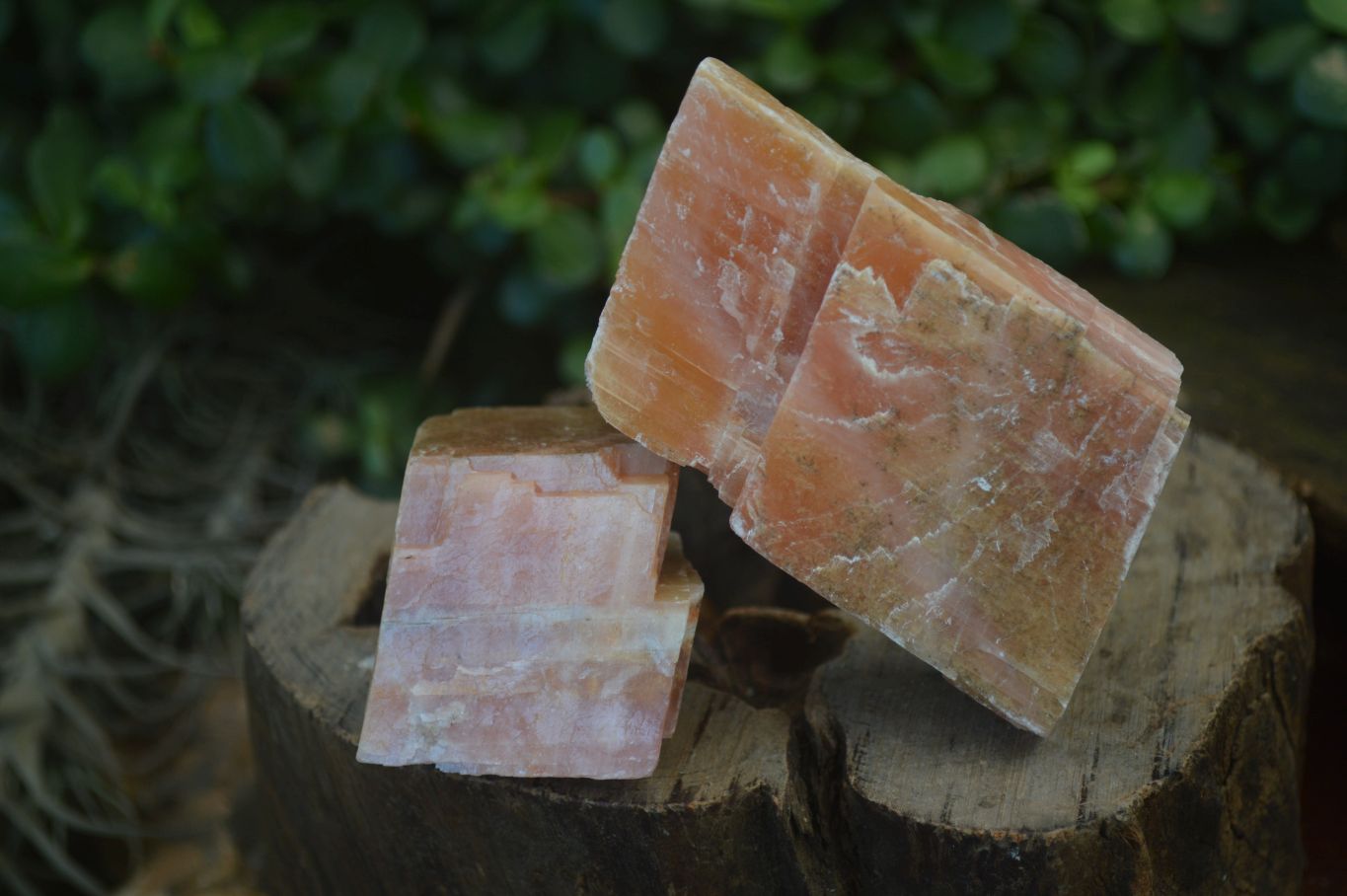 Natural New Sunset Orange Calcite Specimens  x 12 From Spitzkop, Namibia - Toprock Gemstones and Minerals 
