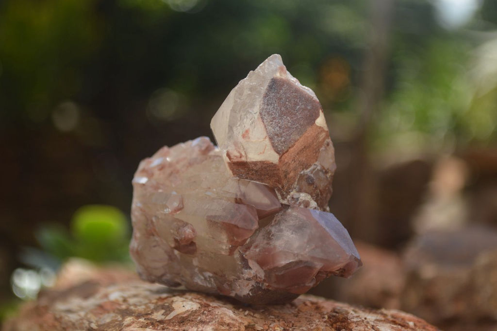 Natural Red Hematoid Quartz Crystal Clusters  x 12 From Karoi, Zimbabwe - TopRock