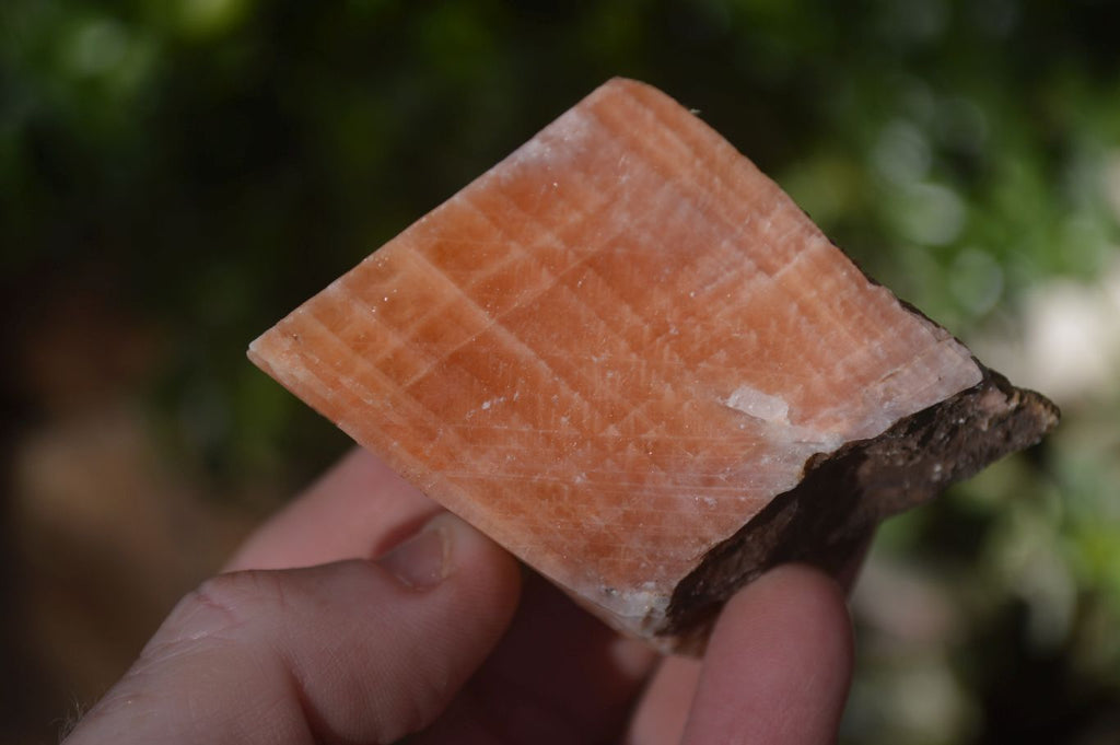 Natural New Sunset Orange Calcite Specimens  x 12 From Spitzkop, Namibia - Toprock Gemstones and Minerals 