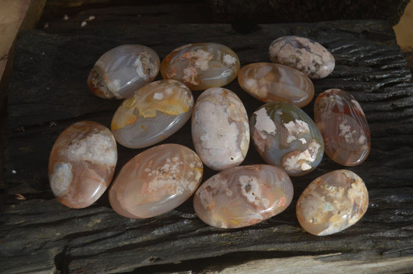Polished Ocean Flower Agate Palm Stones  x 12 From Antsahalova, Madagascar - Toprock Gemstones and Minerals 