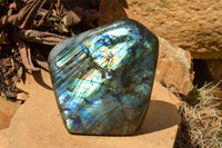 Polished Labradorite Standing Free Forms With Blue & Gold Flash  x 2 From Tulear, Madagascar - TopRock