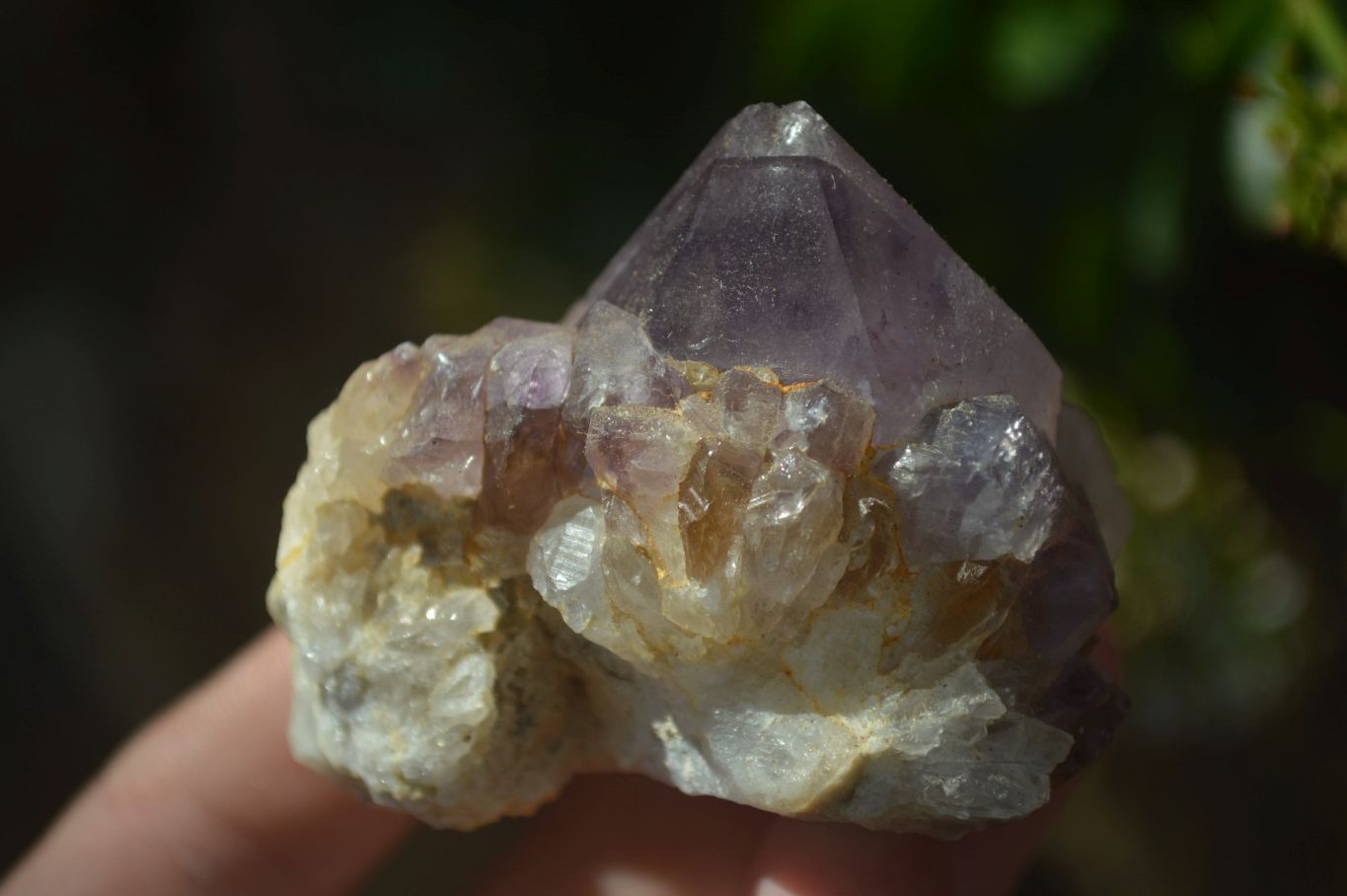 Natural Mixed Spirit Quartz Clusters  x 12 From Boekenhouthoek, South Africa - Toprock Gemstones and Minerals 