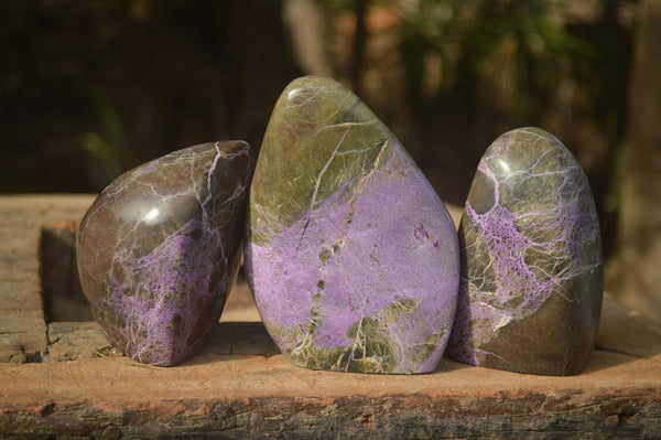 Polished Stichtite & Serpentine Standing Free Forms With Silky Purple Threads  x 3 From Barberton, South Africa - Toprock Gemstones and Minerals 