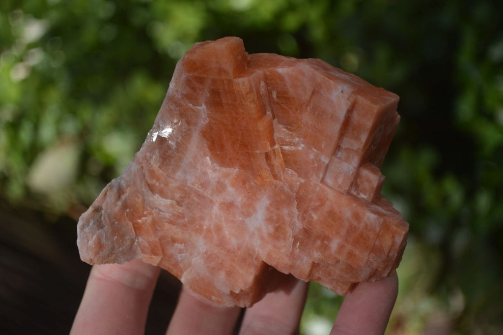 Natural New Sunset Orange Calcite Specimens  x 12 From Spitzkop, Namibia - Toprock Gemstones and Minerals 