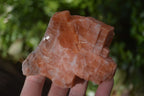 Natural New Sunset Orange Calcite Specimens  x 12 From Spitzkop, Namibia - Toprock Gemstones and Minerals 