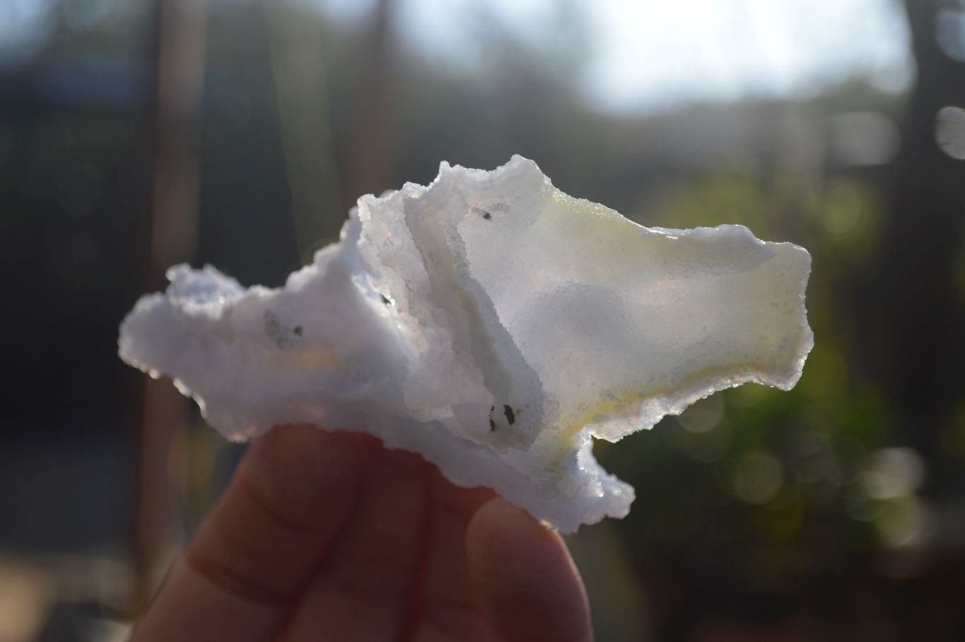Natural Etched Blue Chalcedony Specimens  x 12 From Nsanje, Malawi - Toprock Gemstones and Minerals 