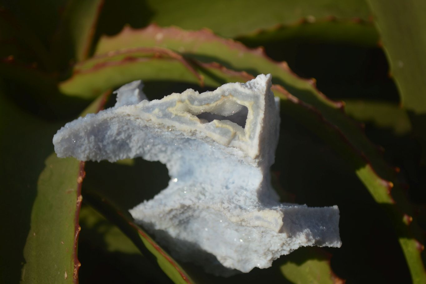Natural Etched Blue Chalcedony Specimens  x 4 From Nsanje, Malawi - Toprock Gemstones and Minerals 