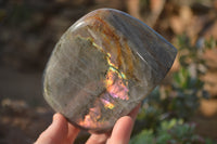 Polished Rare Purple Flash Labradorite Standing Free Forms x 2 From Tulear, Madagascar - Toprock Gemstones and Minerals 