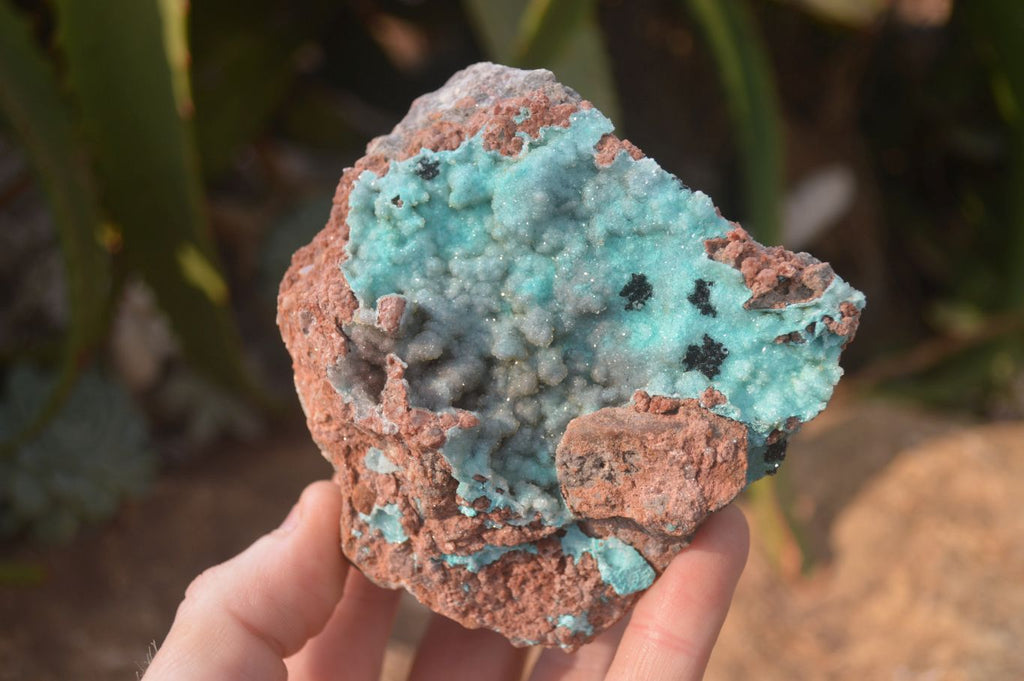 Natural Drusy Coated Chrysocolla Dolomite Specimens x 3 From Congo - Toprock Gemstones and Minerals 