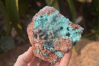 Natural Drusy Coated Chrysocolla Dolomite Specimens x 3 From Congo - Toprock Gemstones and Minerals 