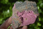 Natural Pink Salrose Cobaltion Dolomite Specimens  x 3 From Kakanda, Congo - Toprock Gemstones and Minerals 