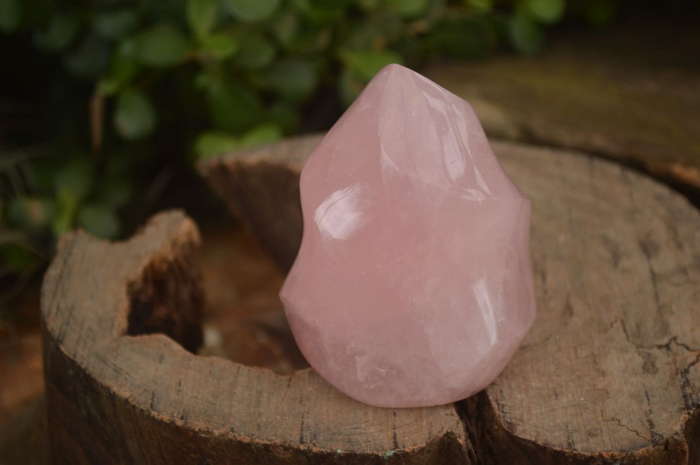 Polished Pink Rose Quartz Flame Sculptures x 6 From Antsirabe, Madagascar - Toprock Gemstones and Minerals 