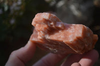 Natural New Sunset Orange Calcite Specimens  x 12 From Spitzkop, Namibia - Toprock Gemstones and Minerals 