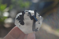 Natural Schorl Black Tourmaline Specimens x 12 From Erongo, Namibia