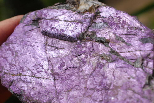 Natural Medium Sized Selected Purple Purpurite Specimens x 6 From Erongo, Namibia - TopRock