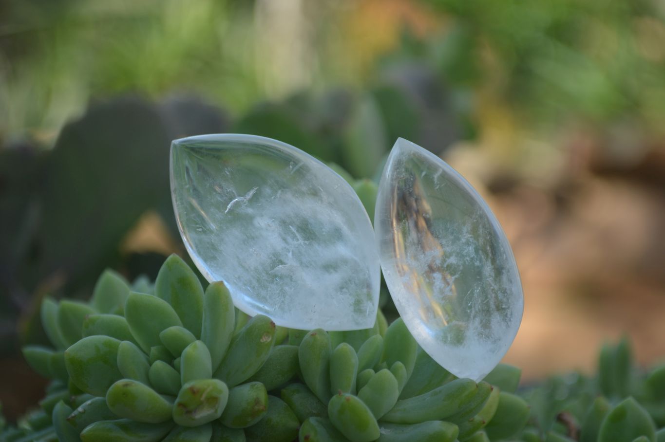 Polished Clear Quartz Angel Tears  x 24 From Madagascar - Toprock Gemstones and Minerals 