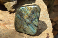 Polished Labradorite Standing Free Forms With Blue & Gold Flash  x 2 From Tulear, Madagascar - TopRock