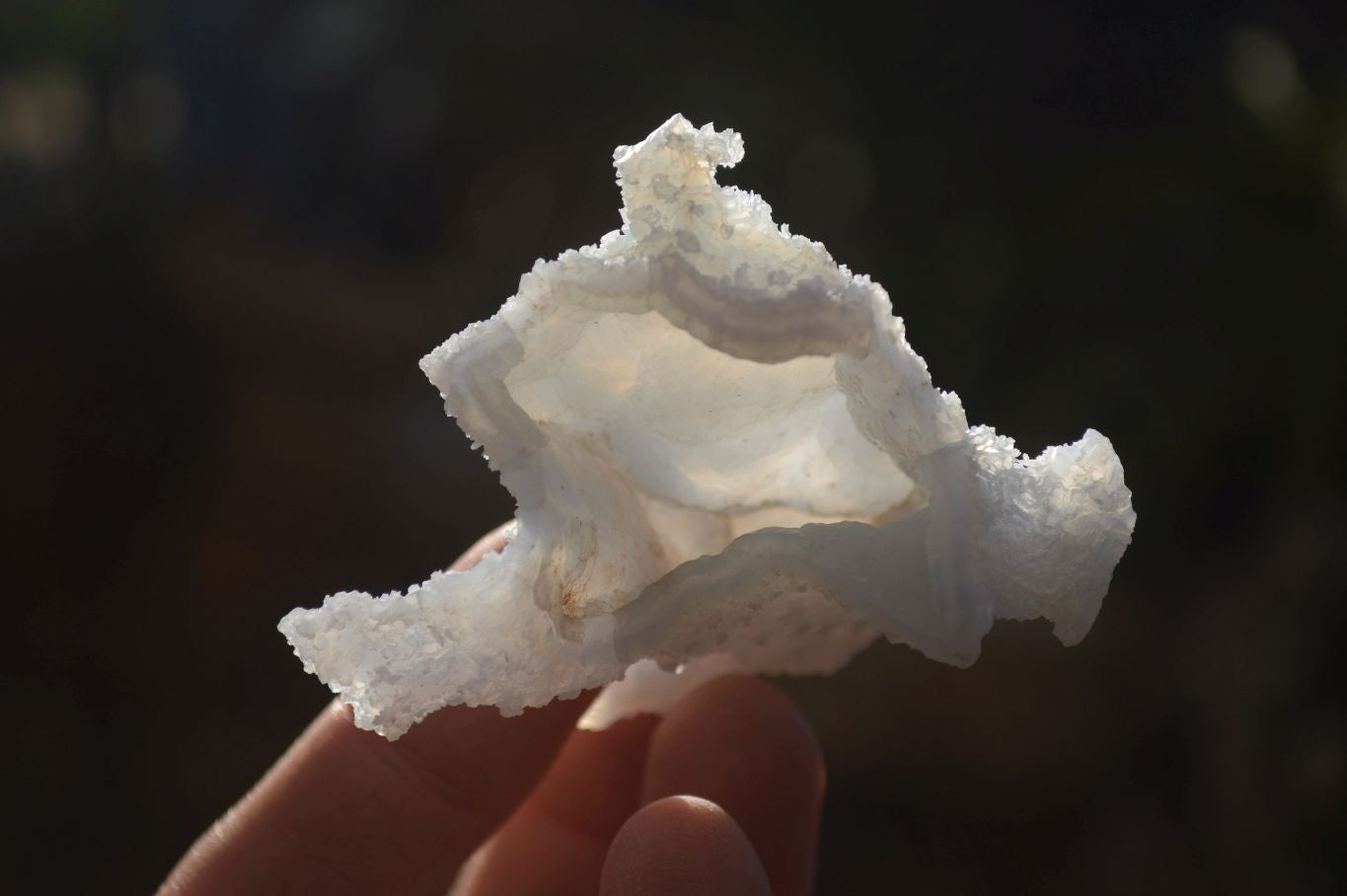 Natural Etched Blue Chalcedony Specimens  x 12 From Nsanje, Malawi - Toprock Gemstones and Minerals 