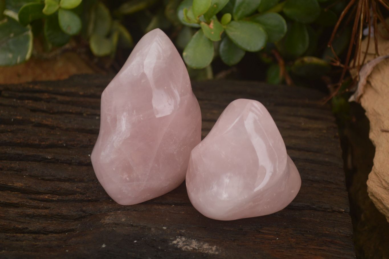 Polished Pink Rose Quartz Flame Sculptures x 6 From Antsirabe, Madagascar - Toprock Gemstones and Minerals 