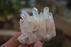 Natural Small Clear Quartz Clusters  x 24 From Madagascar - Toprock Gemstones and Minerals 