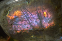 Polished Rare Purple Flash Labradorite Standing Free Forms x 2 From Tulear, Madagascar - Toprock Gemstones and Minerals 